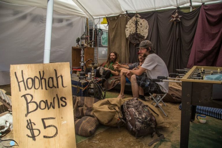 Photo du festival Future Forest 2016