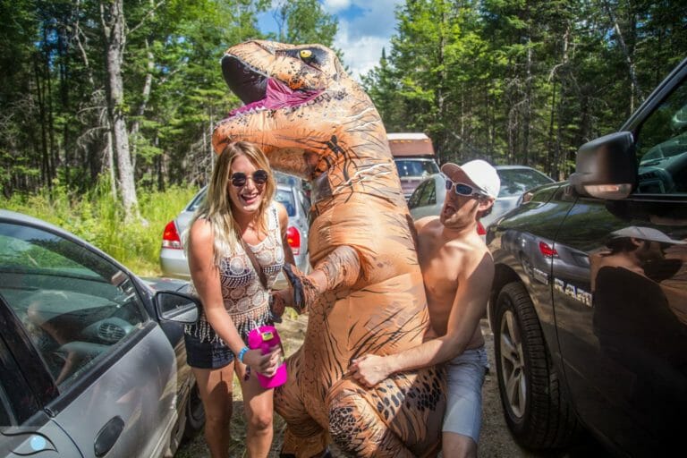 Photo du festival Future Forest 2016