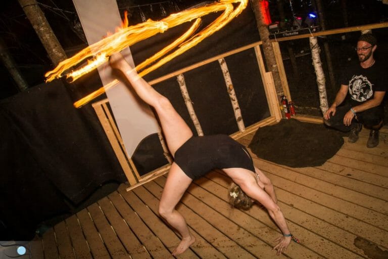 Photo du festival Future Forest 2016