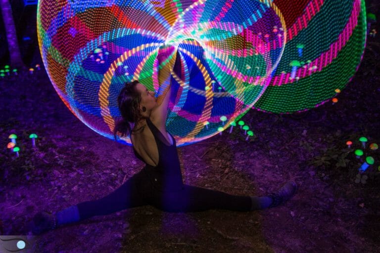 Photo du festival Future Forest 2016