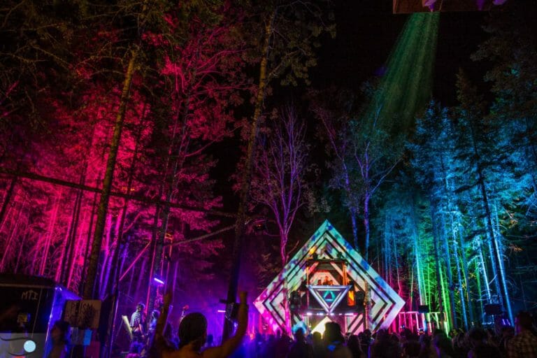 Photo du festival Future Forest 2016