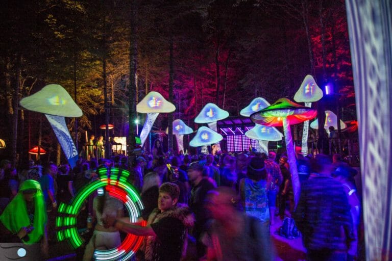 Photo du festival Future Forest 2016