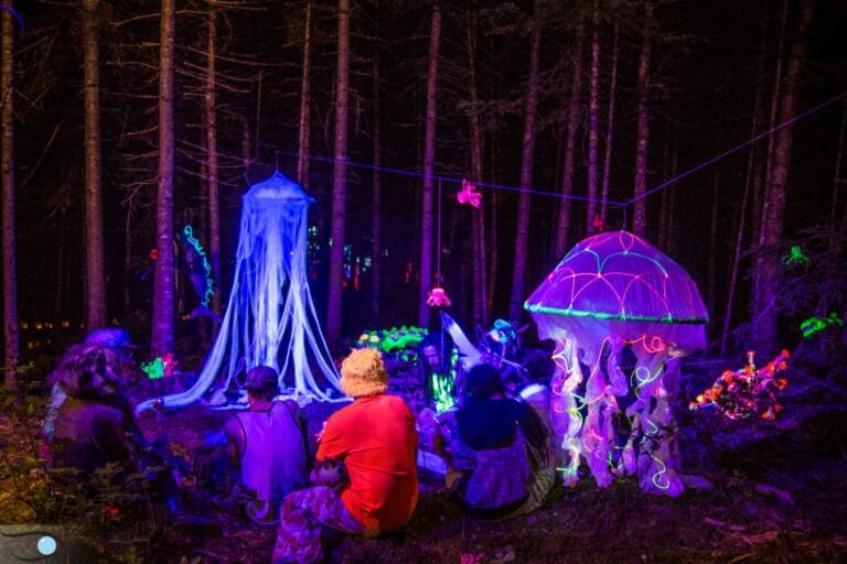 Photo du festival Future Forest 2016