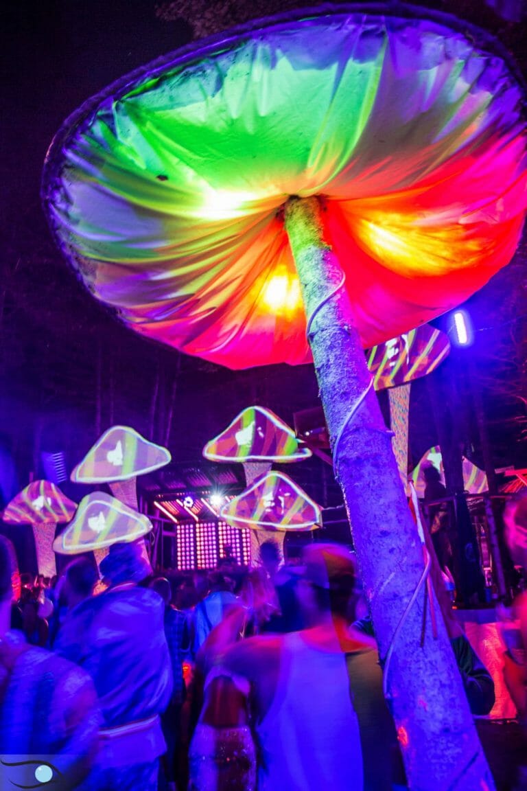 Photo du festival Future Forest 2016