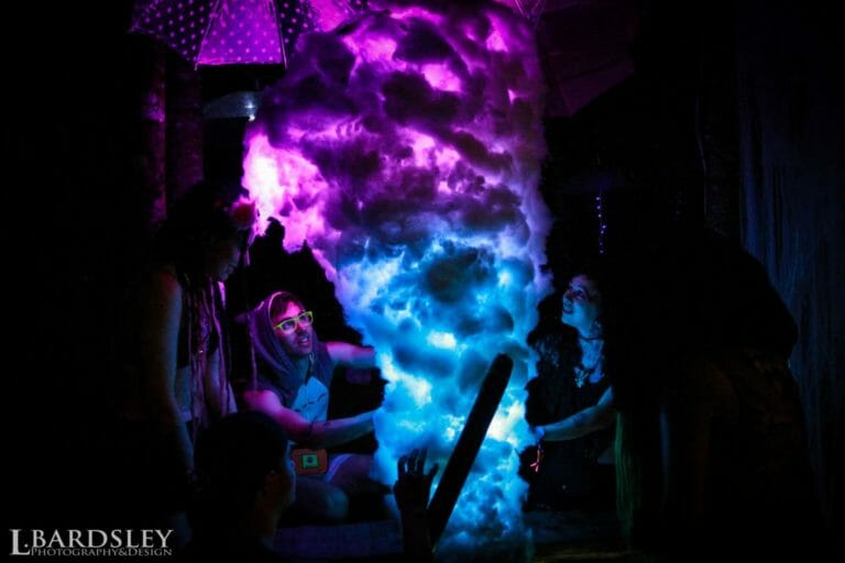 Photo du festival Future Forest 2016