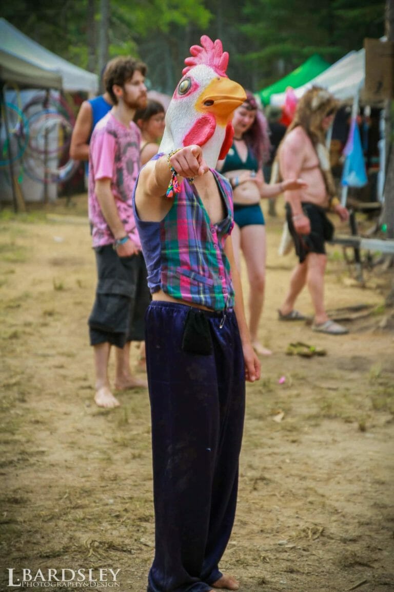 Photo du festival Future Forest 2016