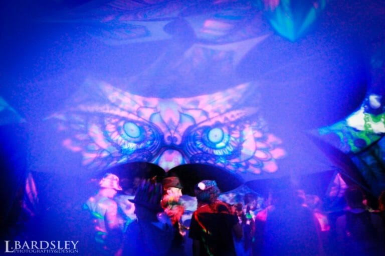Photo du festival Future Forest 2016