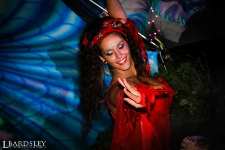 Photo du festival Future Forest 2016