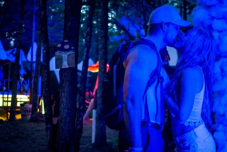 Photo du festival Future Forest 2016