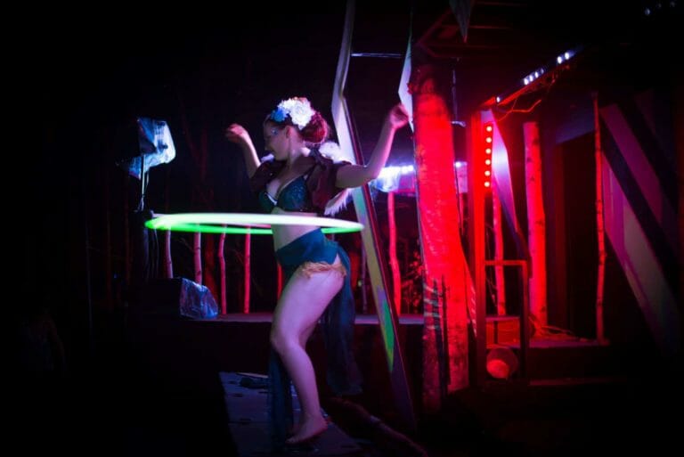 Photo du festival Future Forest 2016