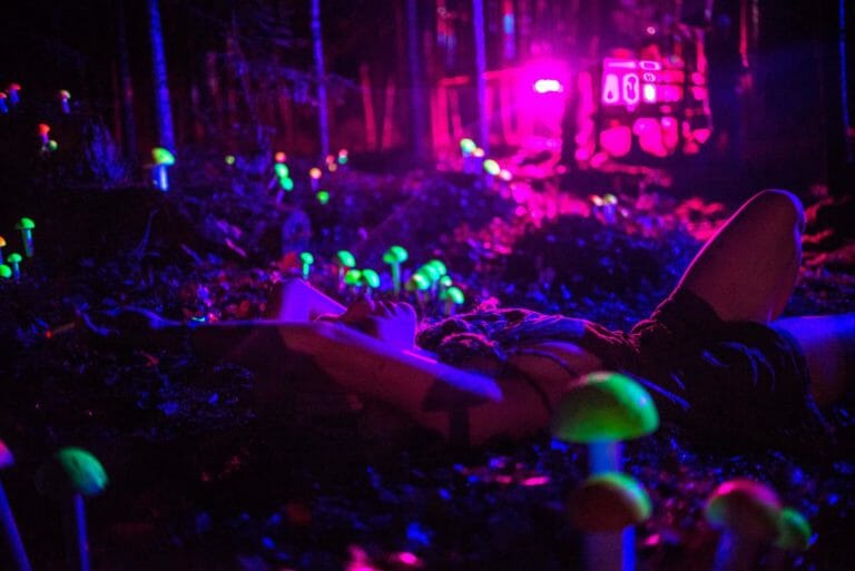 Photo du festival Future Forest 2016