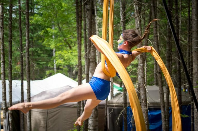 Photo du festival Future Forest 2016