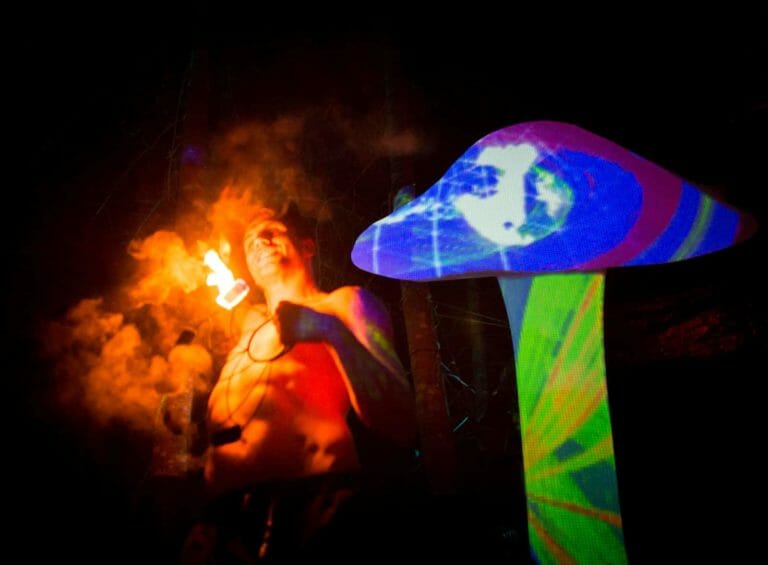 Photo du festival Future Forest 2016