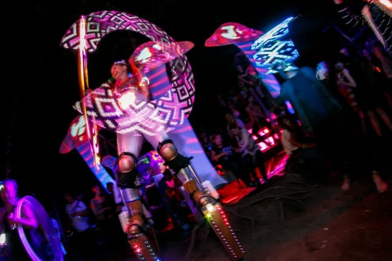 Photo du festival Future Forest 2016