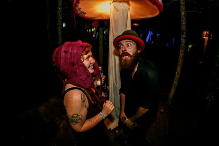 Photo du festival Future Forest 2016