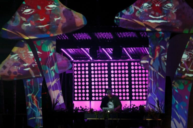 Photo du festival Future Forest 2016