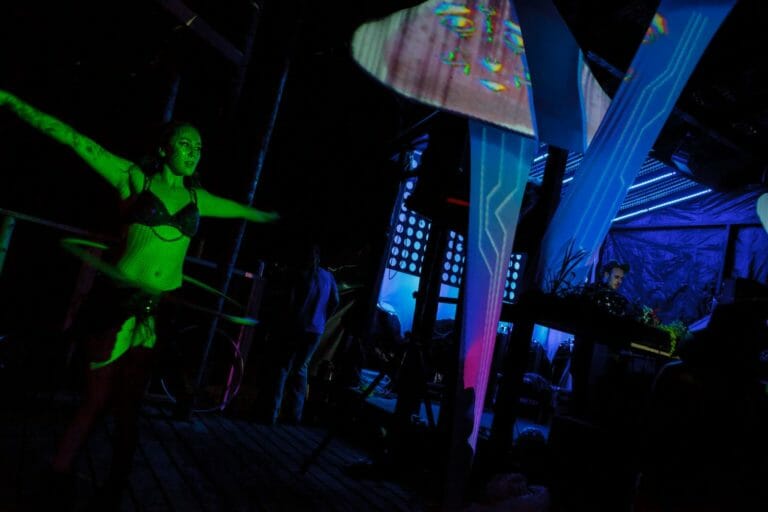 Photo du festival Future Forest 2016