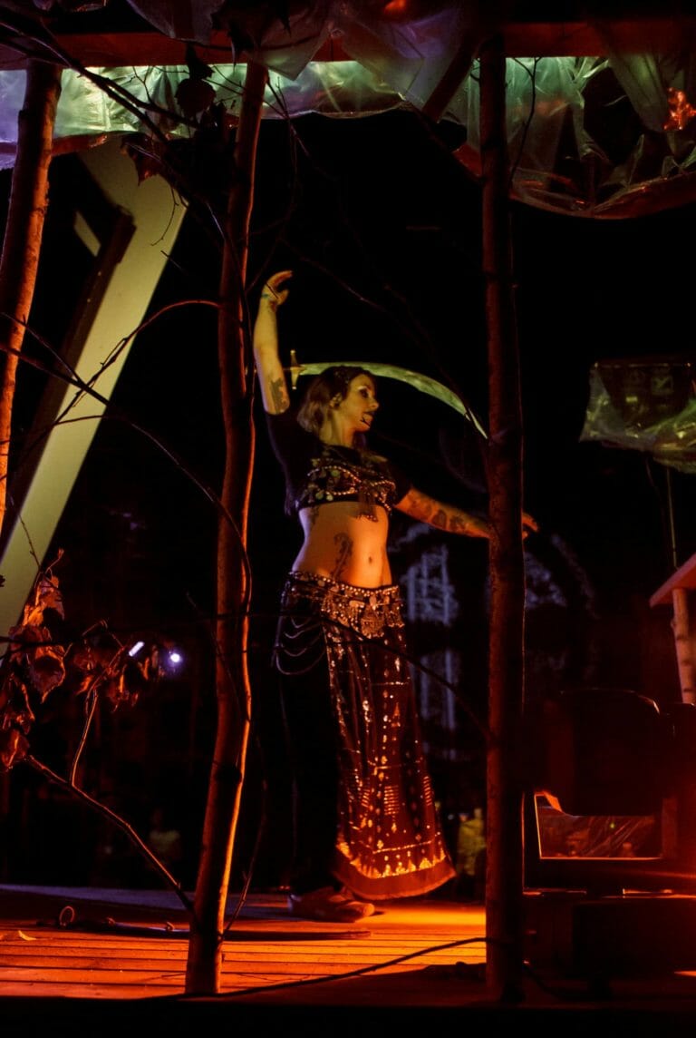 Photo du festival Future Forest 2016