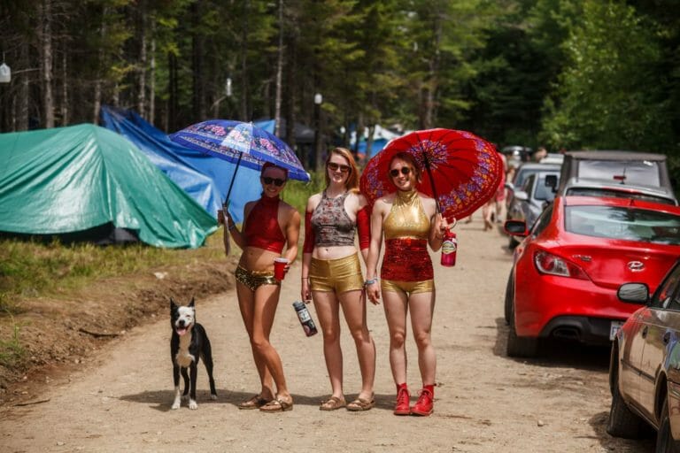 Photo du festival Future Forest 2016