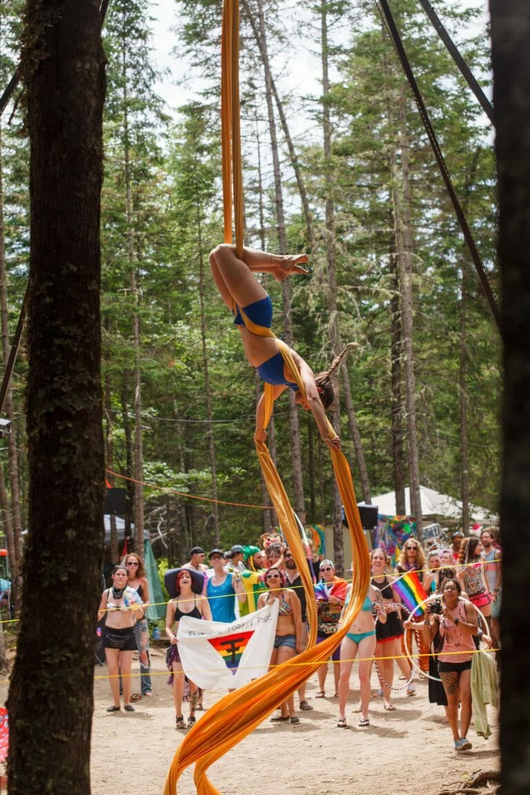 Photo du festival Future Forest 2016