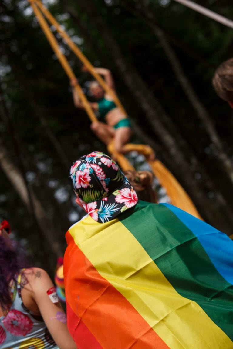 Photo du festival Future Forest 2016