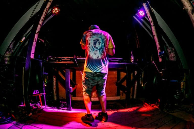 Photo du festival Future Forest 2016