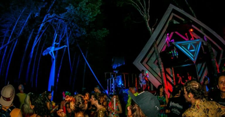 Photo du festival Future Forest 2016