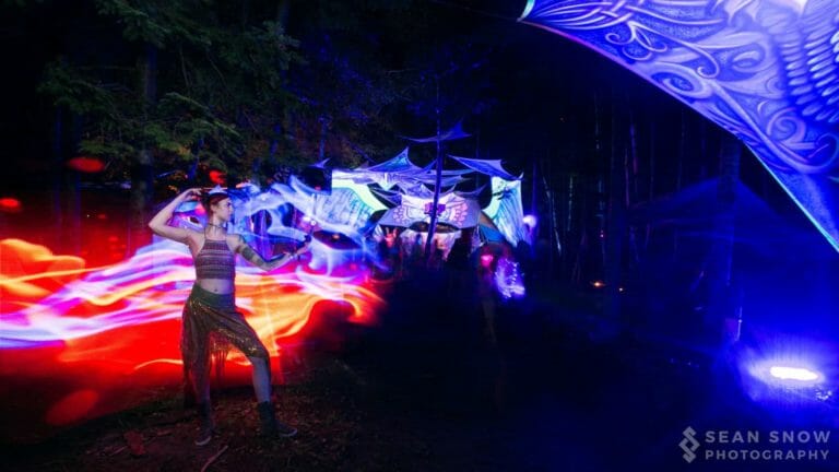 Photo du festival Future Forest 2016