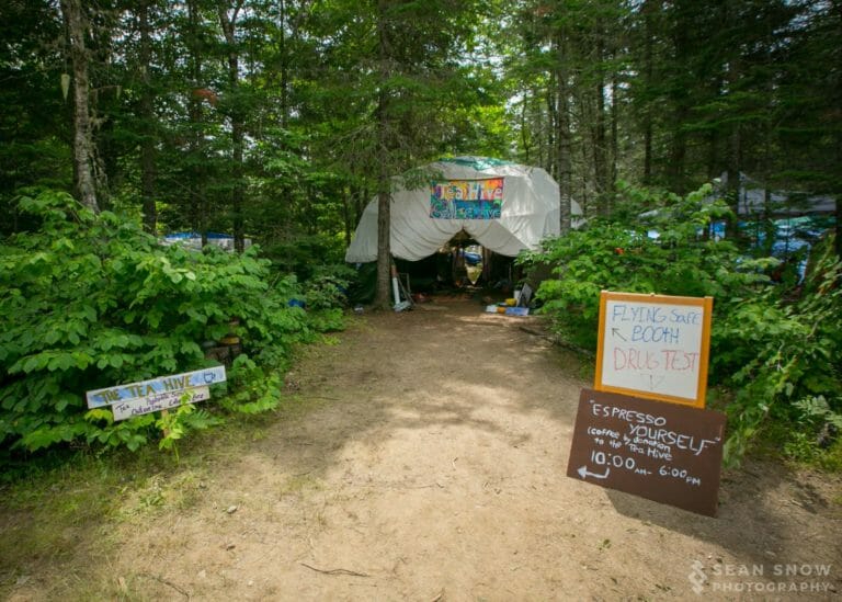 Photo du festival Future Forest 2016