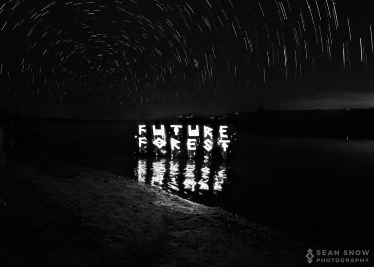Photo du festival Future Forest 2016
