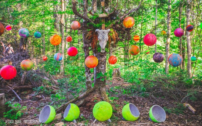 Photo du festival Future Forest 2019
