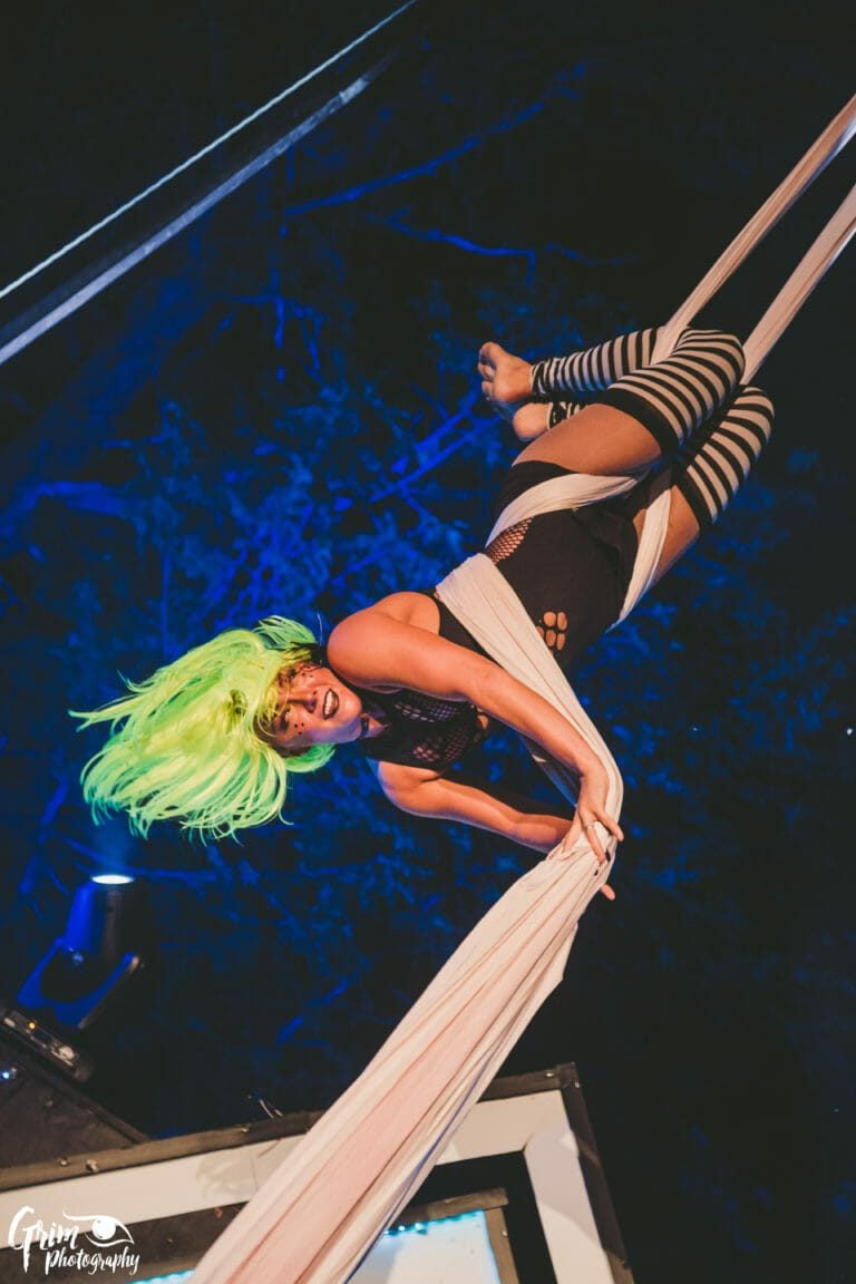 Photo du festival Future Forest 2019