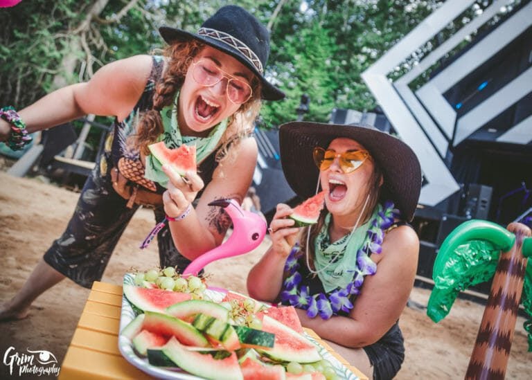 Photo du festival Future Forest 2019