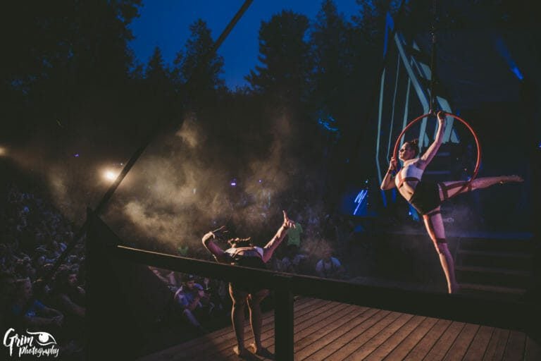 Photo du festival Future Forest 2019