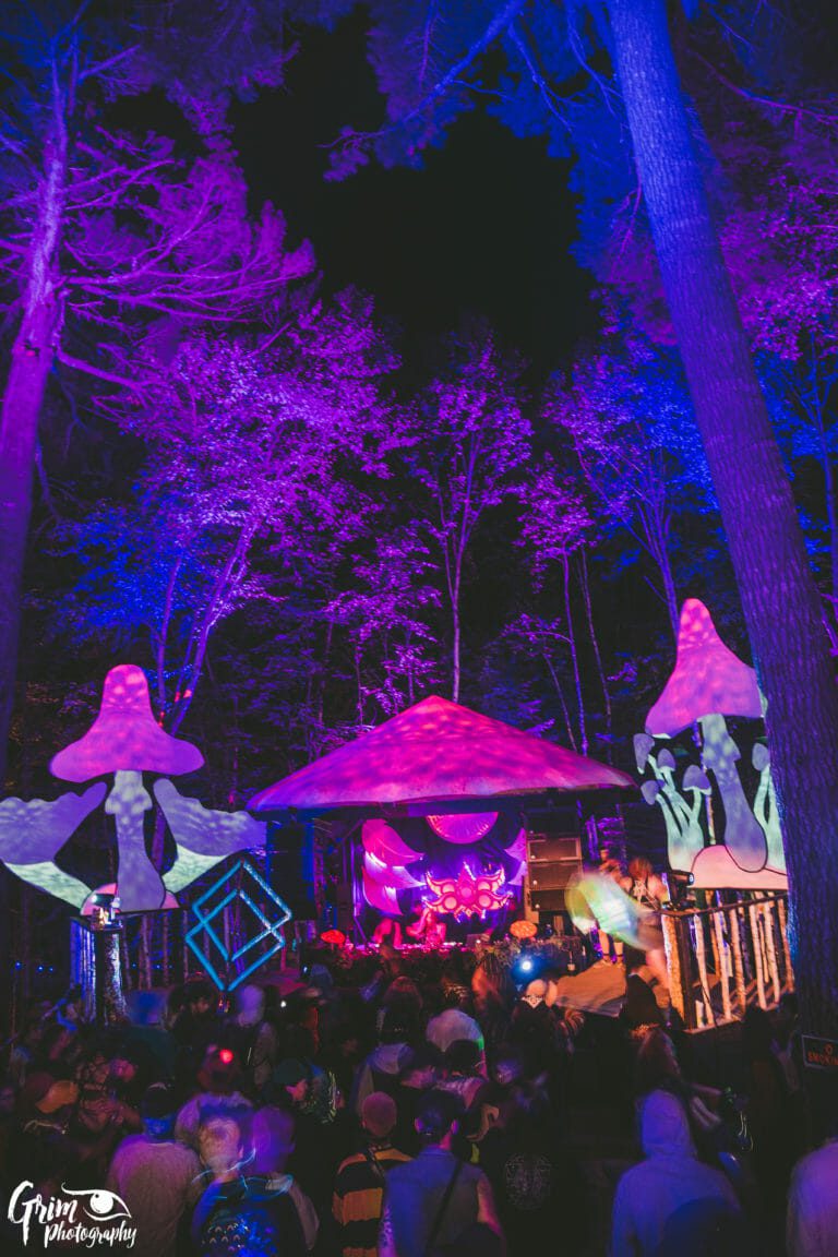 Photo du festival Future Forest 2019