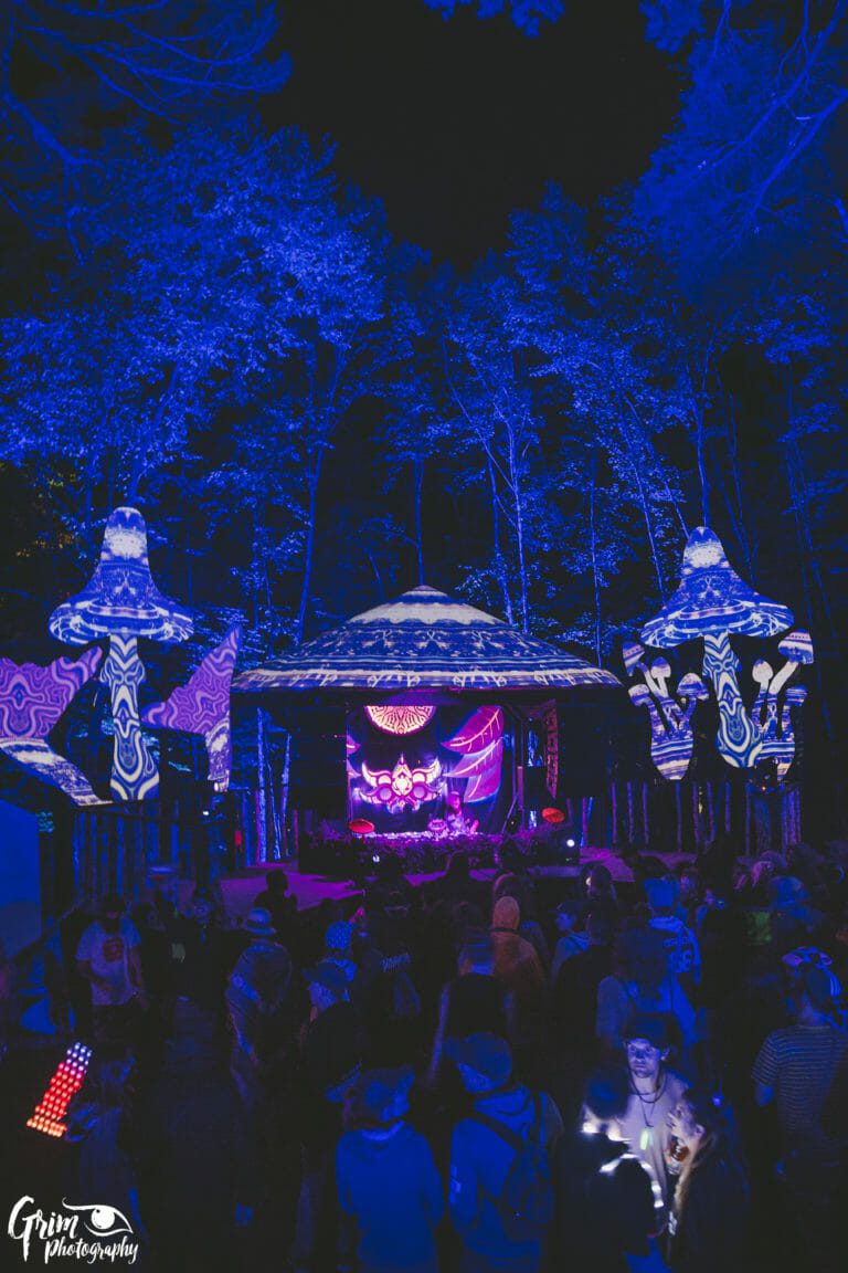 Photo du festival Future Forest 2019