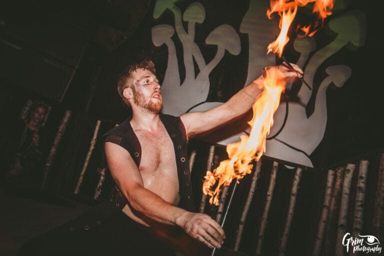 Photo du festival Future Forest 2019