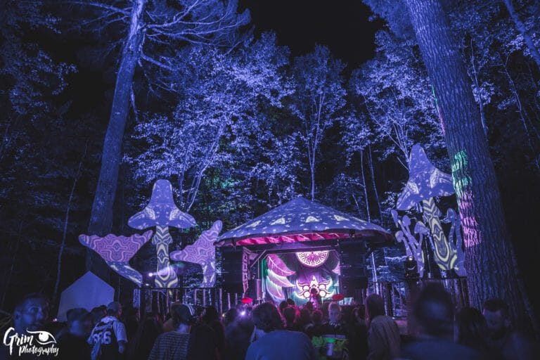 Photo du festival Future Forest 2019