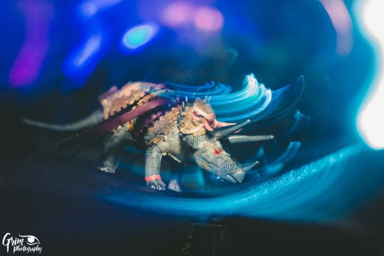 Photo du festival Future Forest 2019