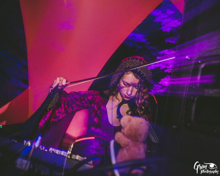 Photo du festival Future Forest 2019