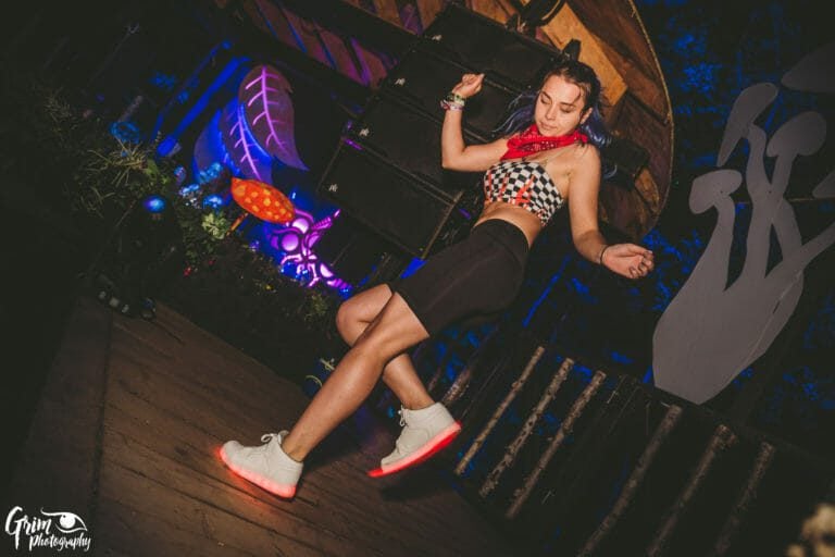Photo du festival Future Forest 2019
