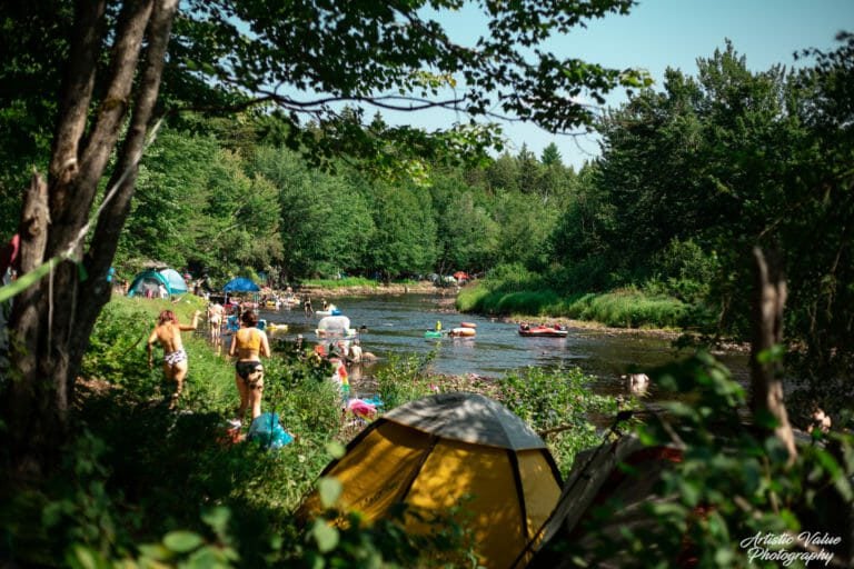 Photo du festival Future Forest 2019