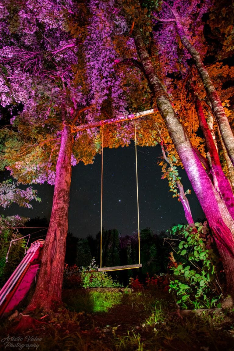 Photo du festival Future Forest 2019