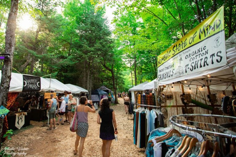 Photo du festival Future Forest 2019