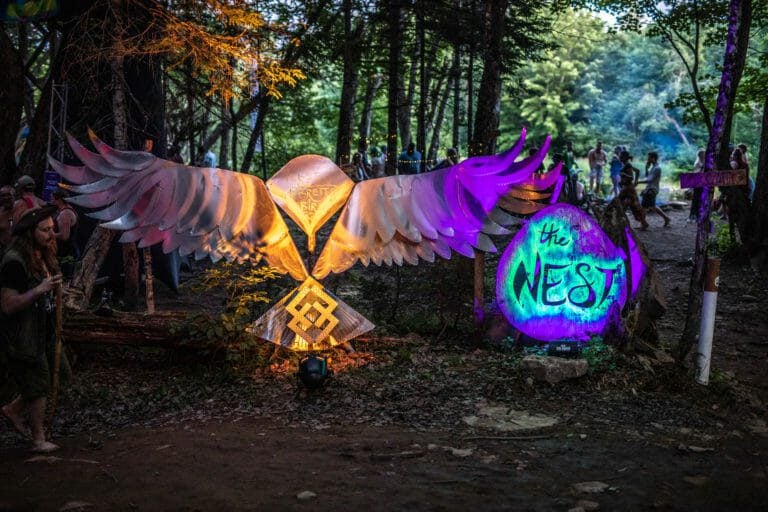 Photo du festival Future Forest 2019