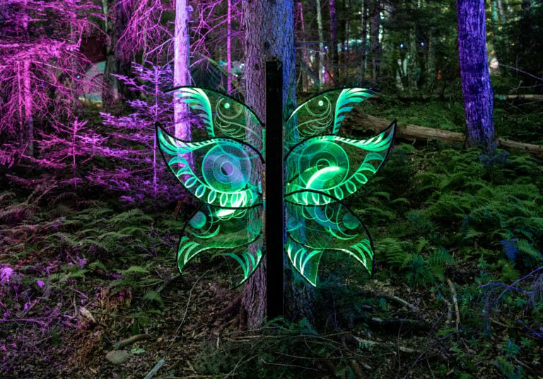 Future Forest 2019 Export-119