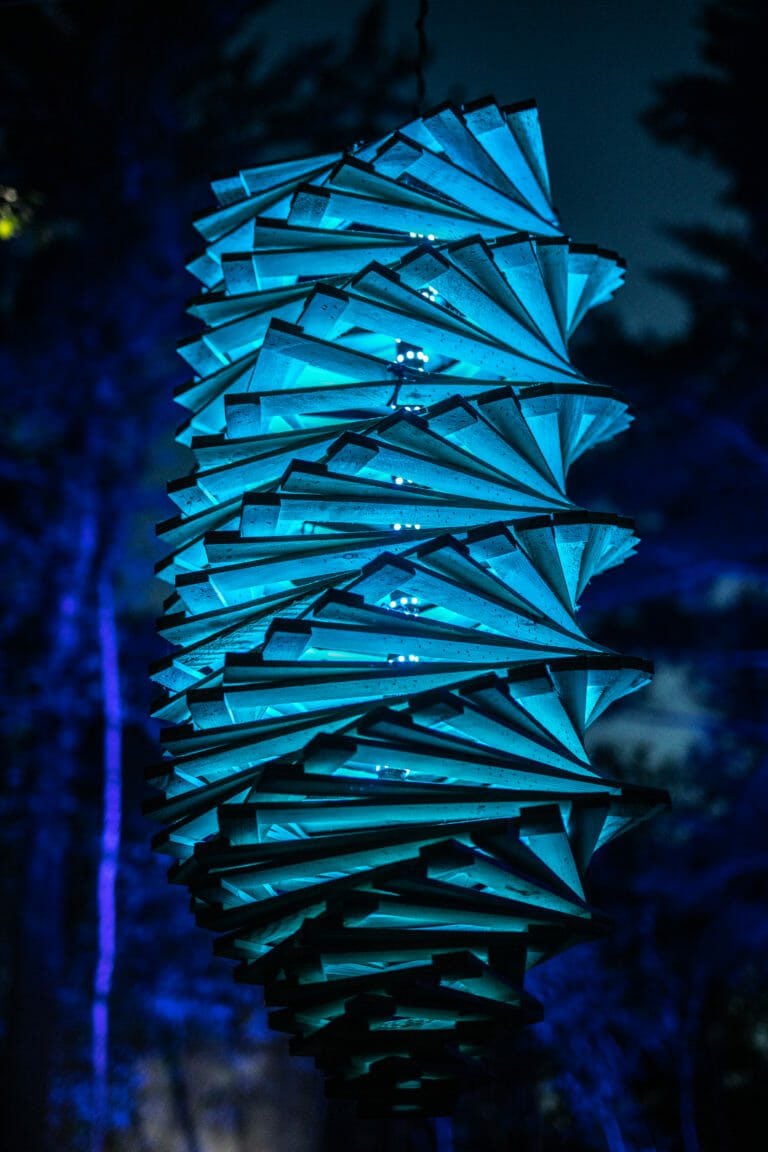 Photo du festival Future Forest 2019