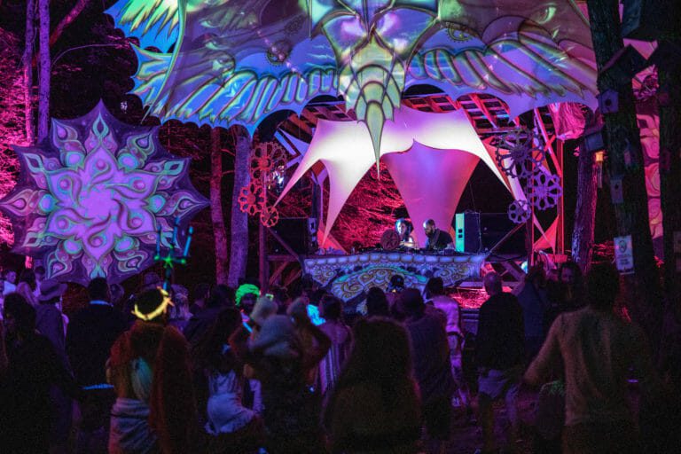 Photo du festival Future Forest 2019