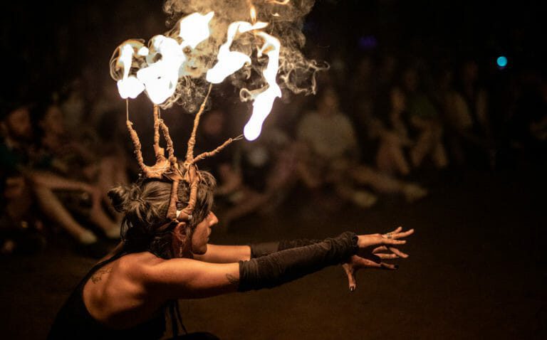 Photo du festival Future Forest 2019