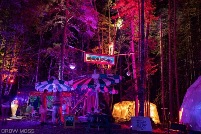 Photo du festival Future Forest 2022